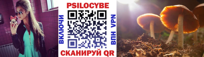 где купить наркоту  дарк нет какой сайт  Псилоцибиновые грибы Magic Shrooms  Краснообск 